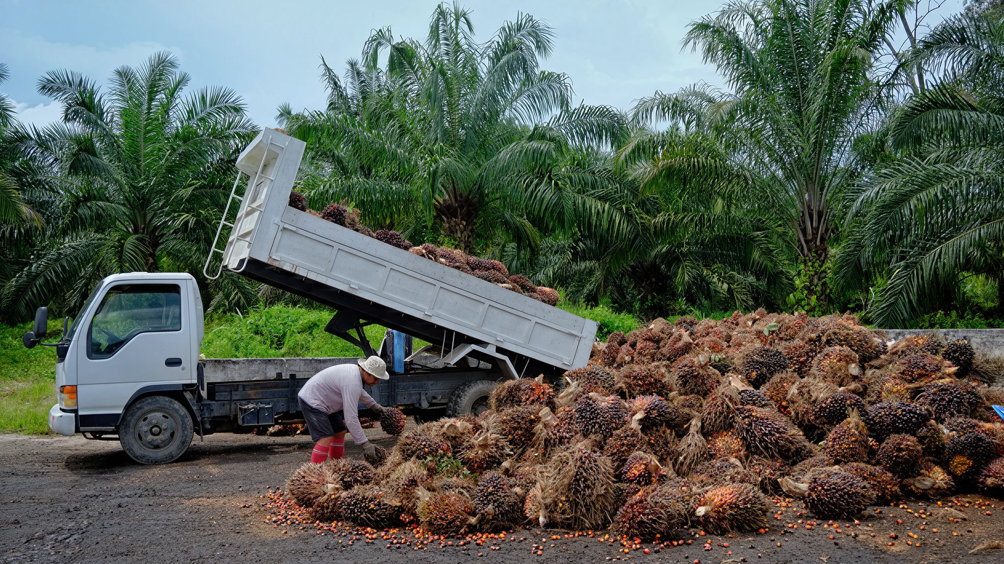 Agricultural & Organic Materials Transport